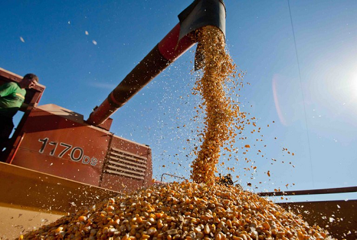 Produção de alimentos